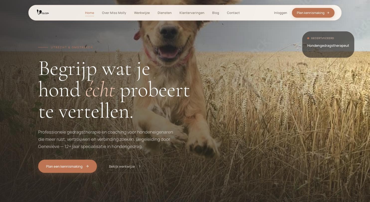 Homepage van Miss Molly: een donkere sfeerfoto van een rennende hond in een korenveld met een serif-kop eroverheen.